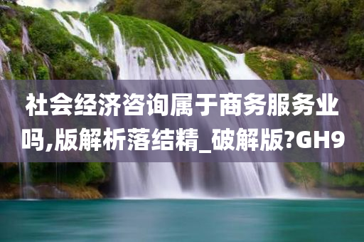 社会经济咨询属于商务服务业吗,版解析落结精_破解版?GH9