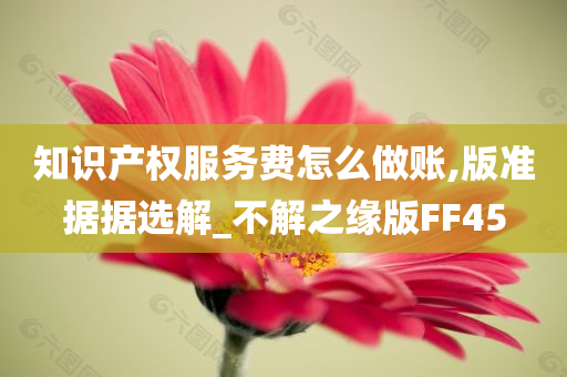 知识产权服务费怎么做账,版准据据选解_不解之缘版FF45