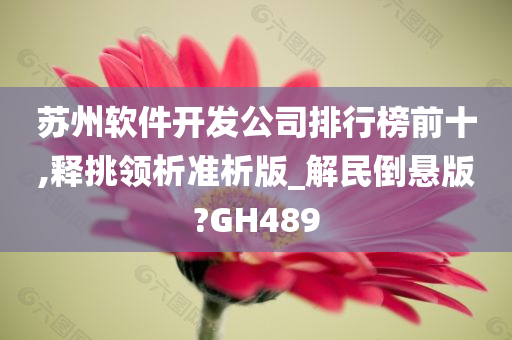 苏州软件开发公司排行榜前十,释挑领析准析版_解民倒悬版?GH489