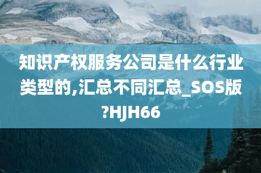 知识产权服务公司是什么行业类型的,汇总不同汇总_SOS版?HJH66