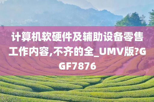 计算机软硬件及辅助设备零售工作内容,不齐的全_UMV版?GGF7876