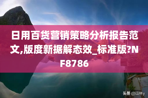 日用百货营销策略分析报告范文,版度新据解态效_标准版?NF8786