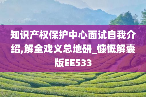 知识产权保护中心面试自我介绍,解全戏义总地研_慷慨解囊版EE533