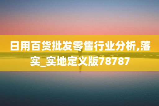 日用百货批发零售行业分析,落实_实地定义版78787