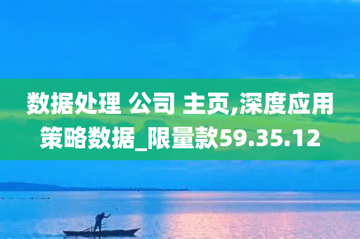 数据处理 公司 主页,深度应用策略数据_限量款59.35.12