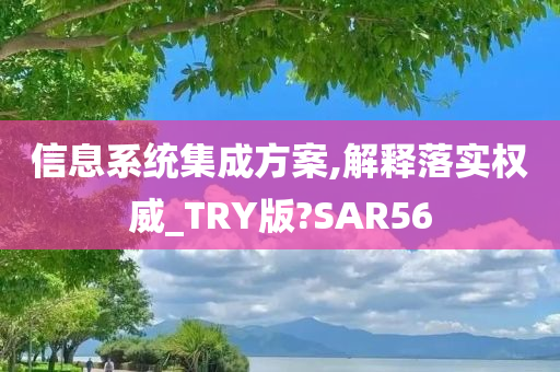 信息系统集成方案,解释落实权威_TRY版?SAR56