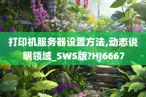 打印机服务器设置方法,动态说明领域_SWS版?HJ6667